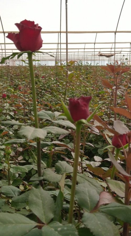 photo_2022-06-20_03-29-54